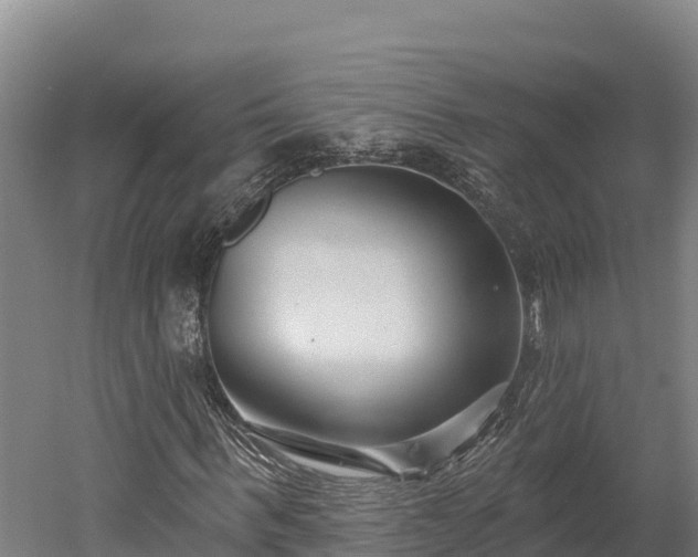 X0000052960963200507151731