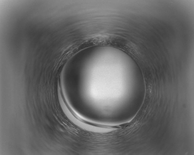 X0000052960964200507151731