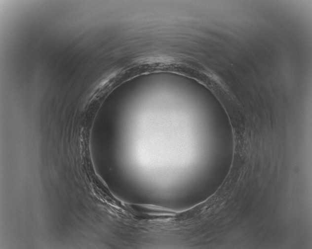 X0000052960967200507151731