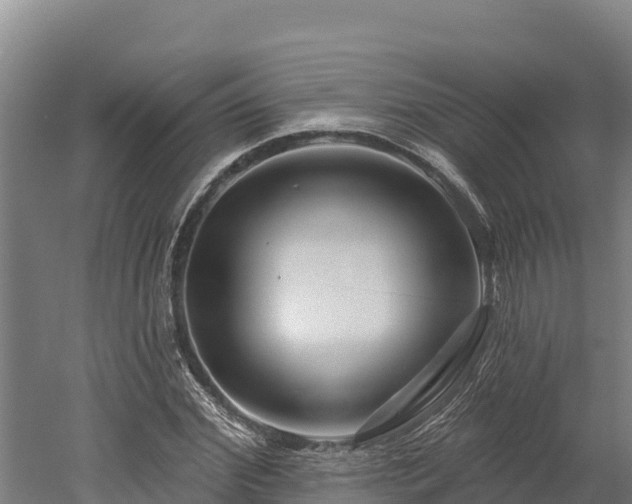 X0000052960972200507151731
