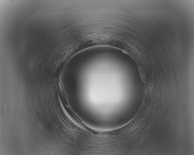 X0000052961012200507151730
