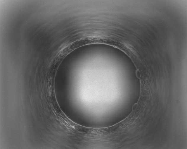 X0000052961015200507151730