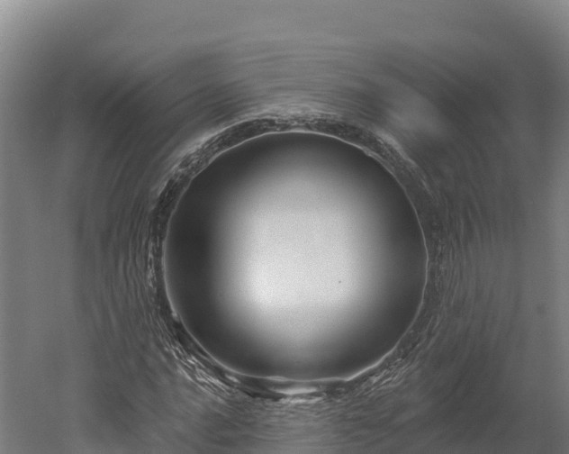 X0000052961016200507151730