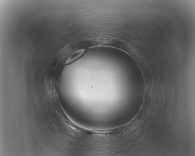 X0000052961058200507151730