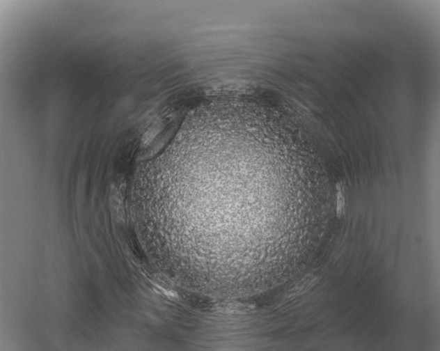 X0000052961059200507151730