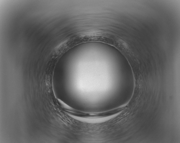 X0000052961062200507151730