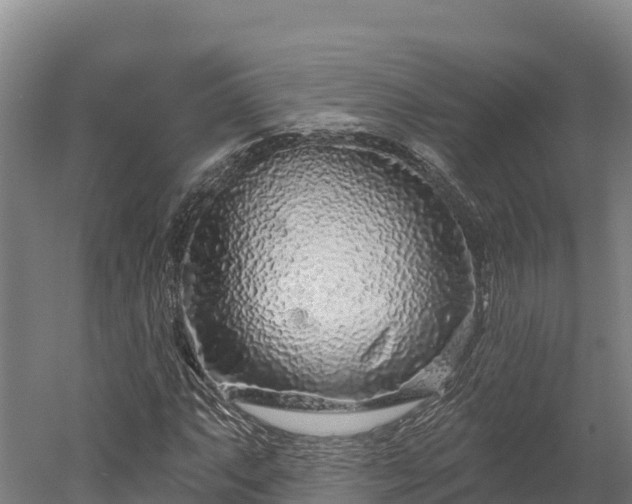 X0000052961063200507151730