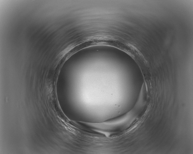 X0000052961065200507151730