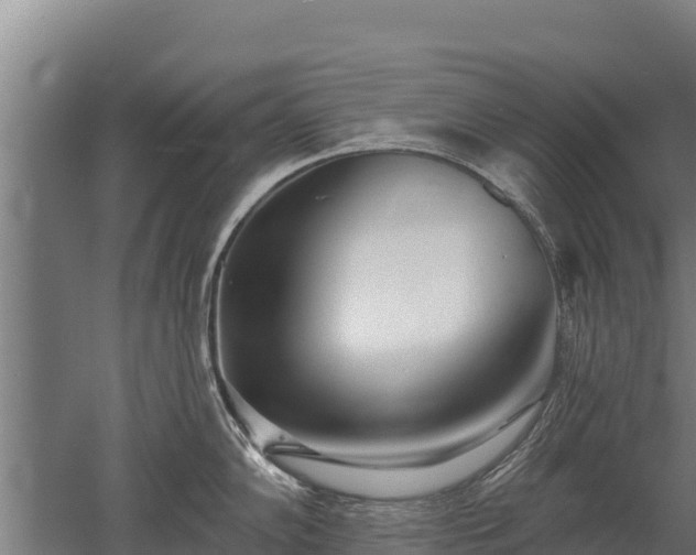 X0000052961102200507151729