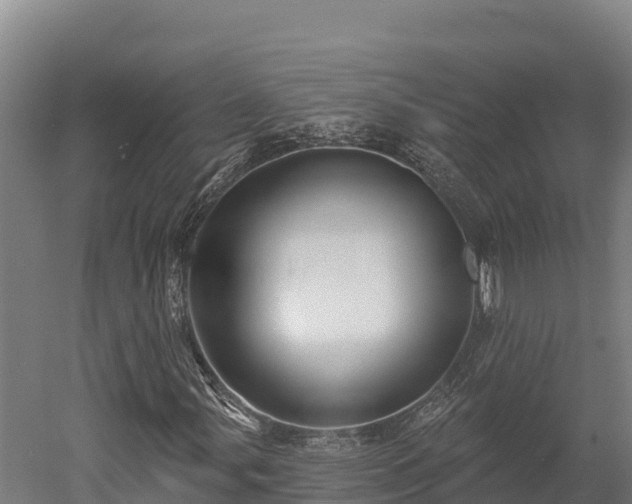 X0000052961107200507151728