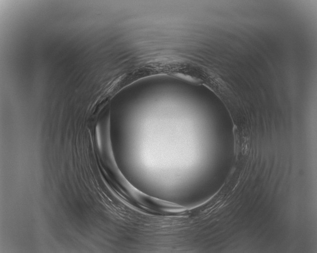 X0000052961108200507151728
