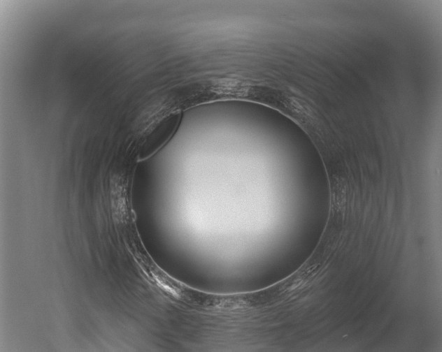 X0000052961154200507151728
