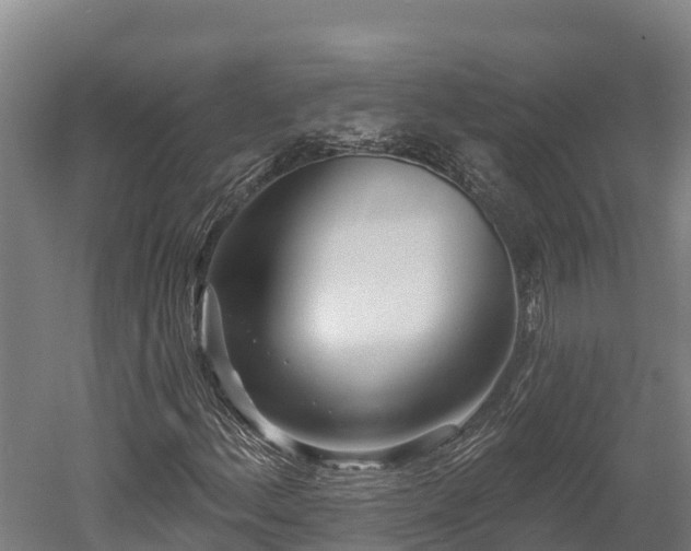 X0000052961156200507151728