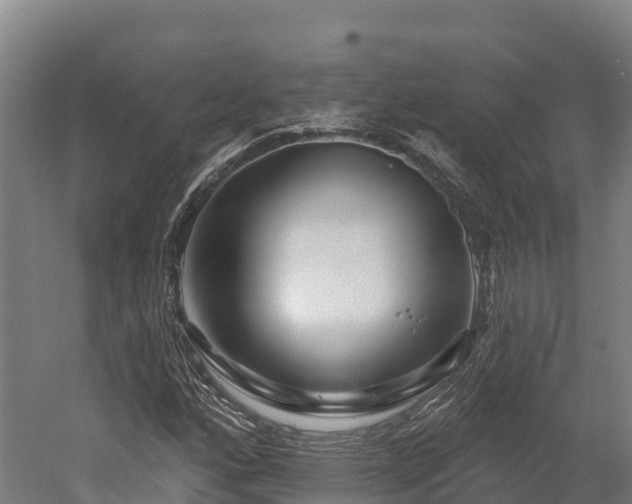 X0000052961160200507151728