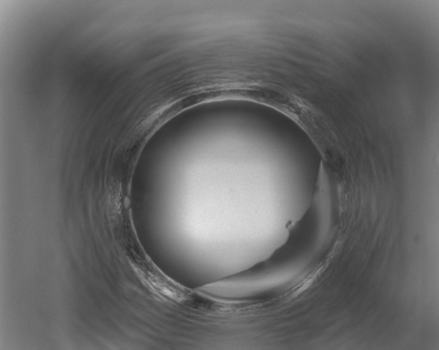 X0000052961161200507151728