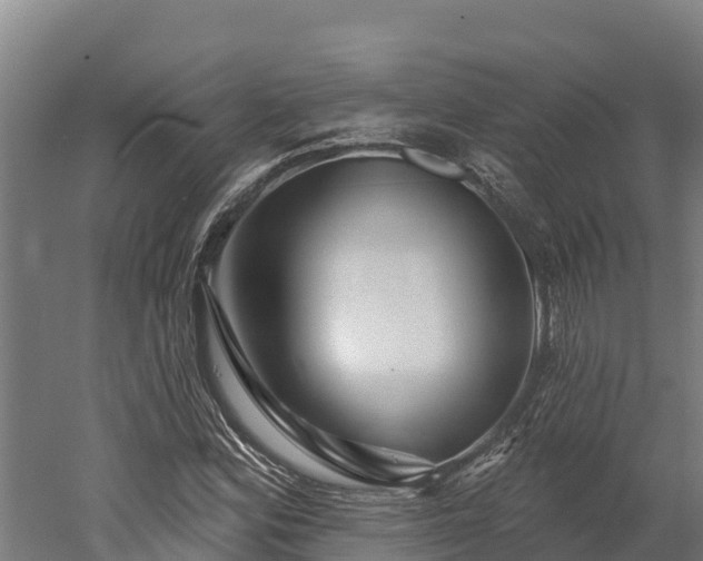 X0000052961164200507151728