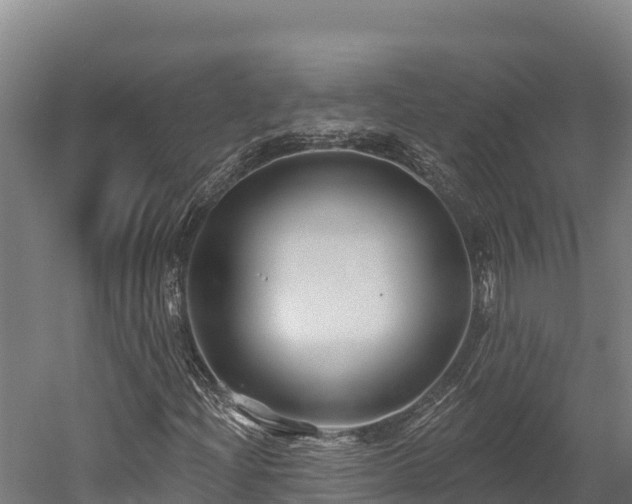 X0000052961204200507151726