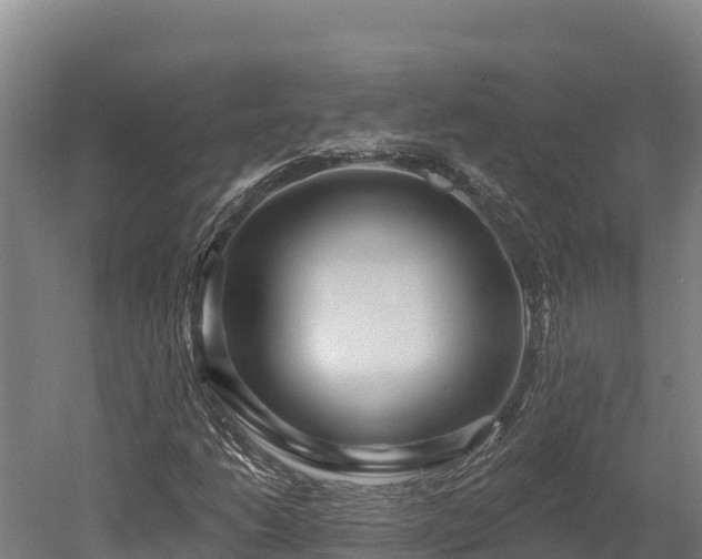 X0000052961206200507151727