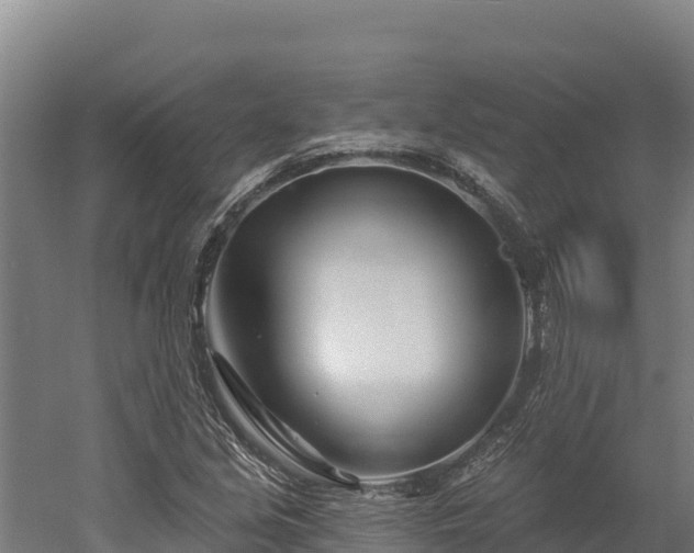 X0000052961213200507151727
