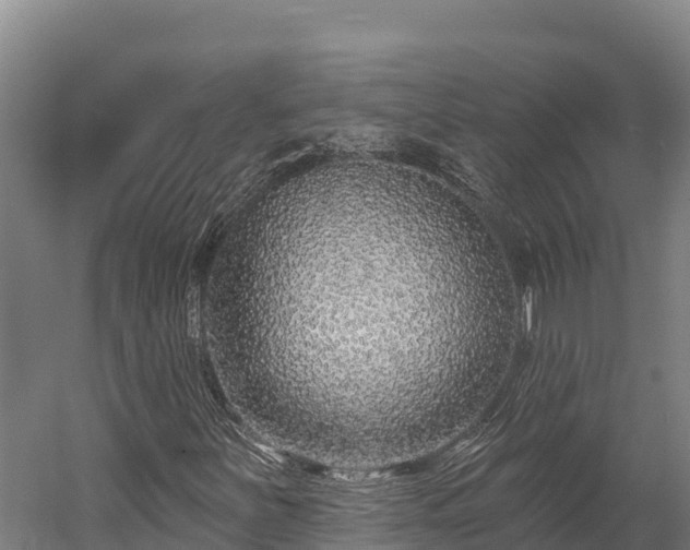 X0000052961251200507151726