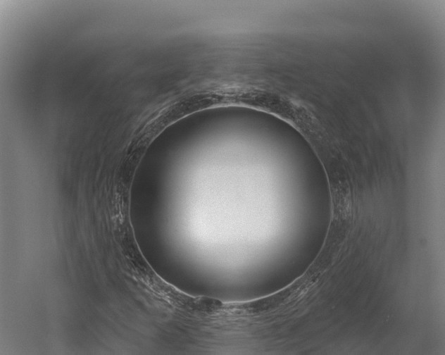 X0000052961253200507151726