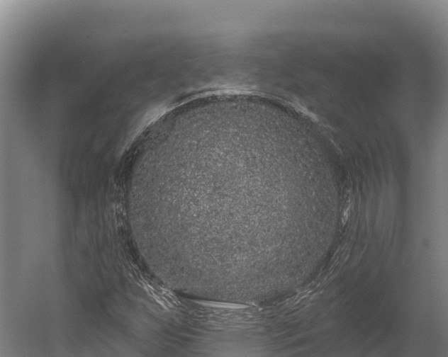 X0000052961255200507151726