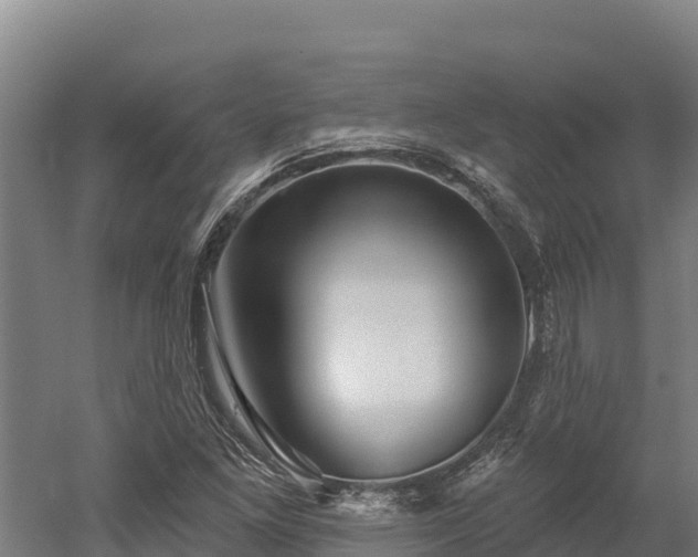 X0000052961261200507151726