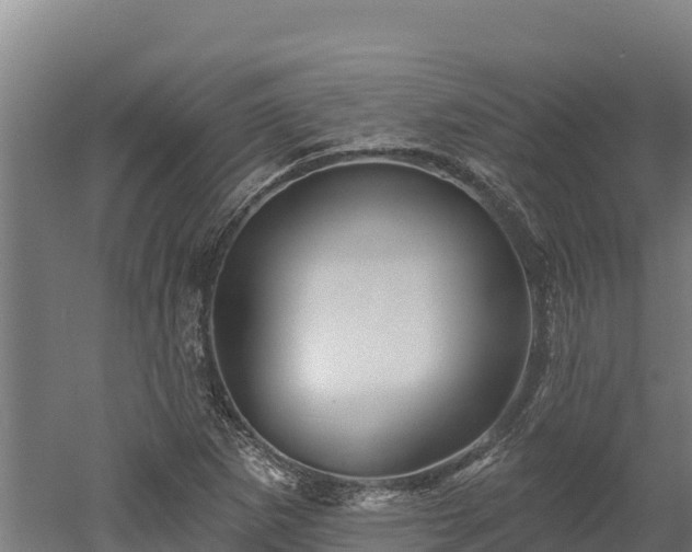X0000052961265200507151726