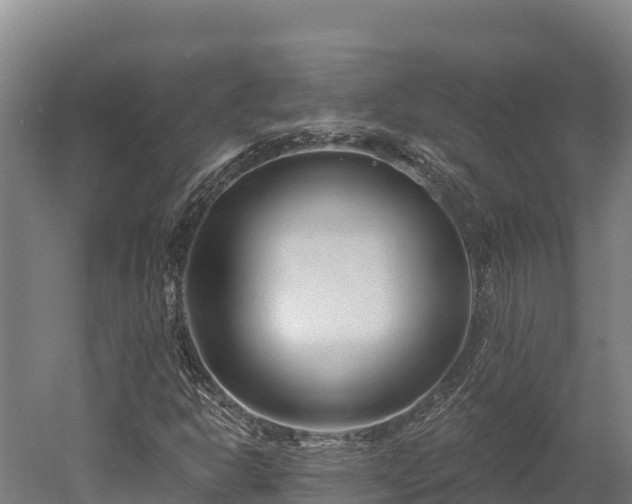X0000052961302200507151725