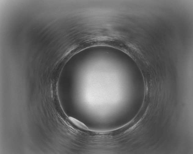 X0000052961305200507151725