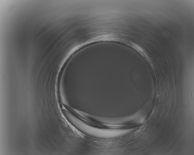 X0000052961334200507151725