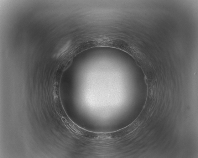 X0000052961346200507151725