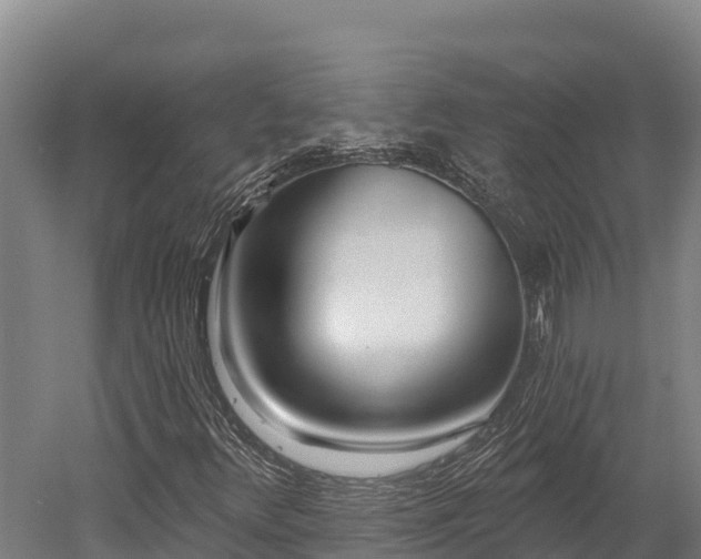 X0000052961348200507151725