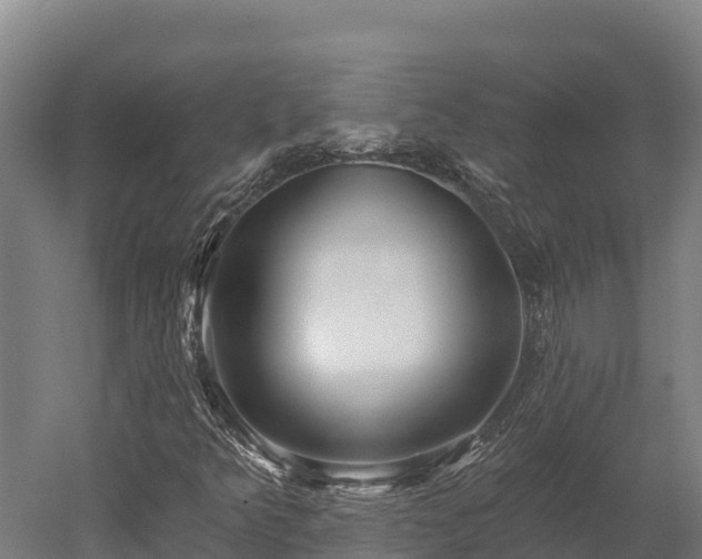 X0000052961349200507151725