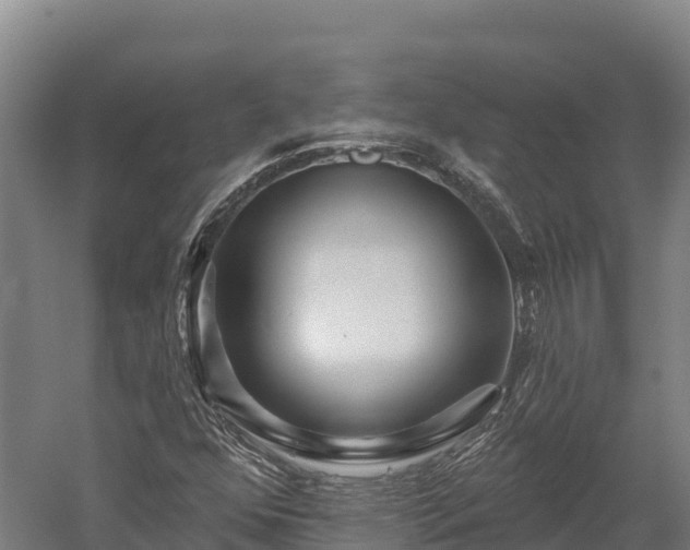 X0000052961352200507151725