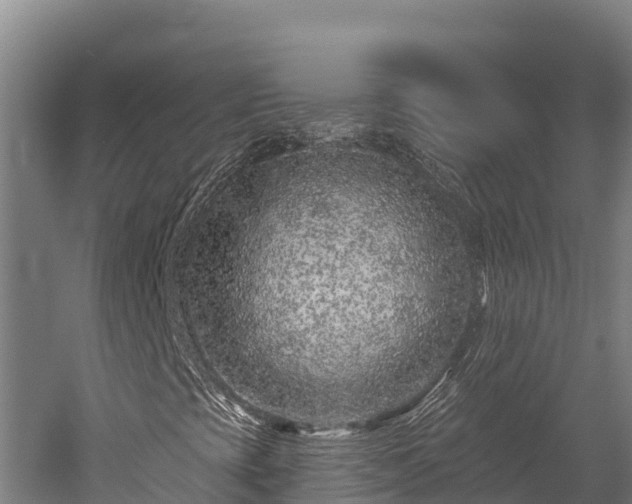 X0000052961393200507151723