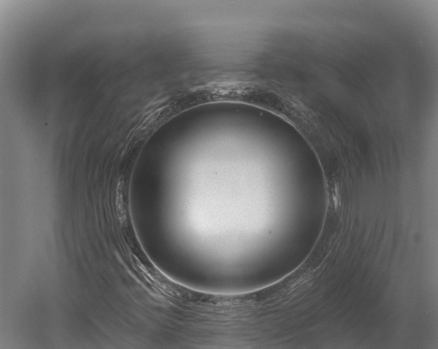X0000052961396200507151723