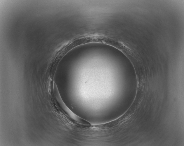 X0000052961398200507151723