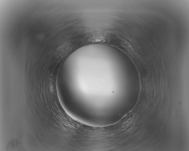 X0000052961442200507151723