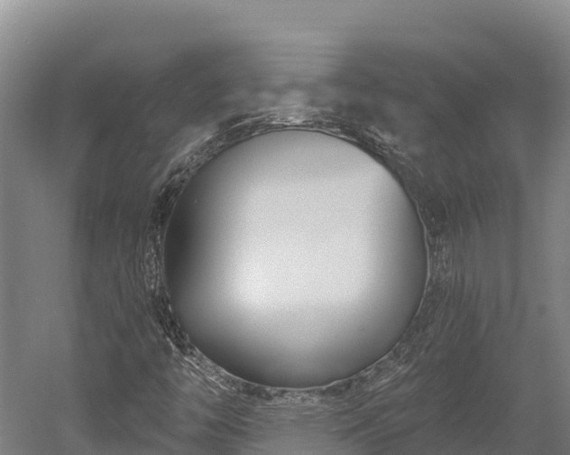 X0000052961446200507151723