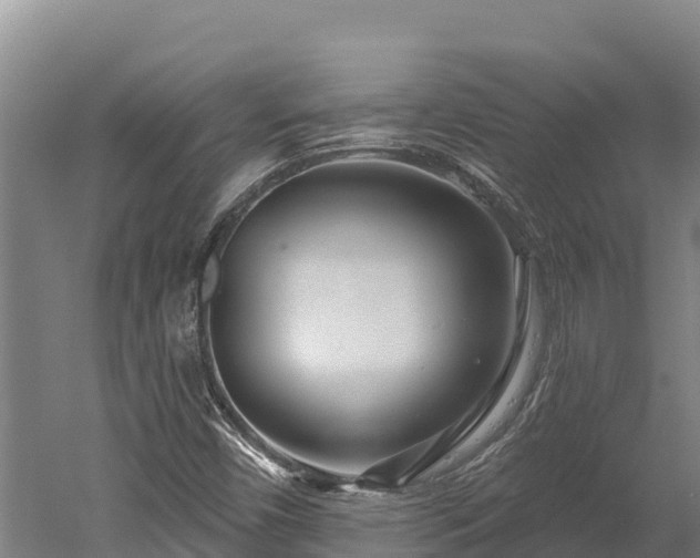 X0000052961450200507151723