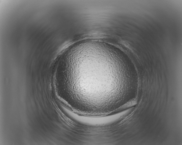 X0000052961451200507151723