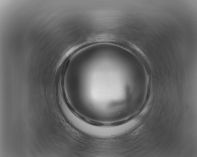 X0000052961461200507151723