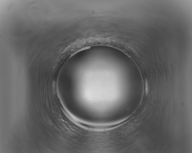 X0000052961492200507151722