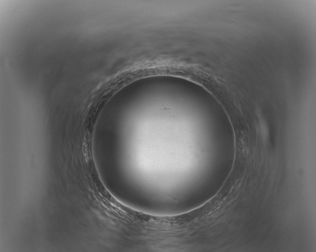 X0000052961493200507151722