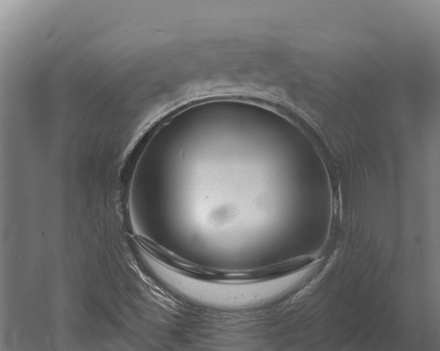 X0000052961501200507151722