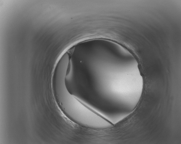 X0000052961516200507151722