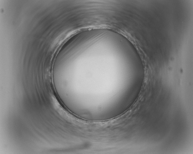 X0000052960002200507221249