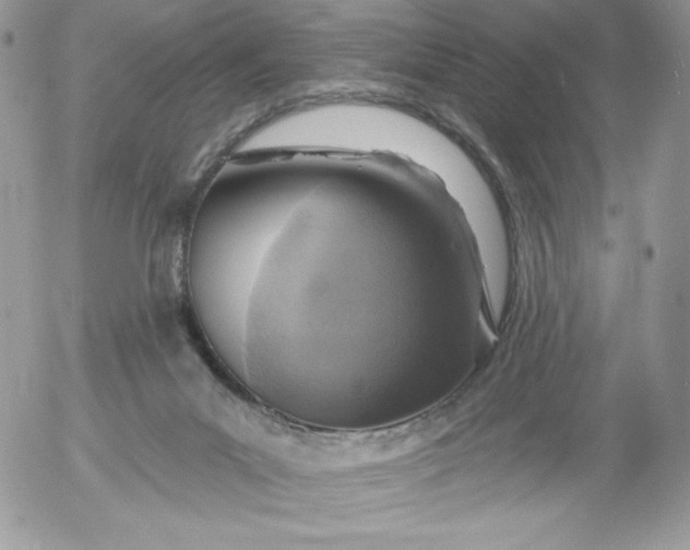 X0000052960023200507221248