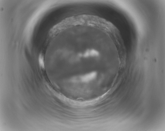 X0000052960047200507221248